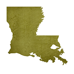 Louisiana - State Outline